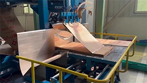 3CM-PS Ensacadeira boca aberta automática